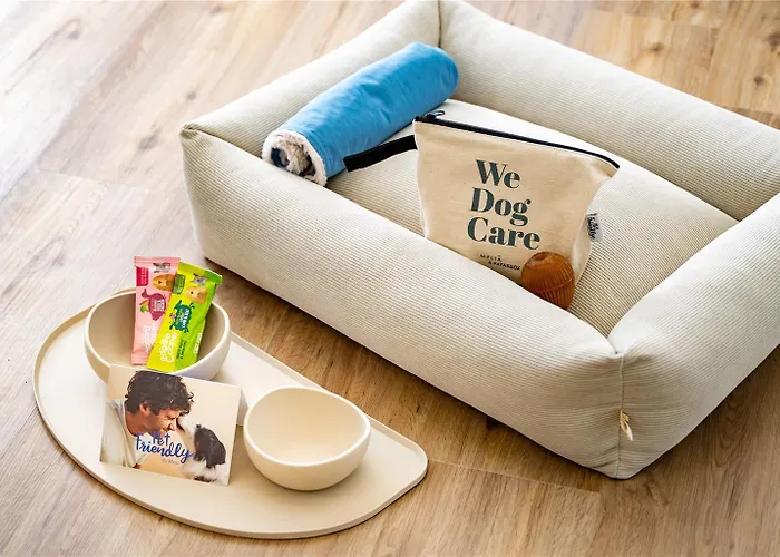 美利亚附属圣塞巴斯蒂安奥利酒店 酒店 4*