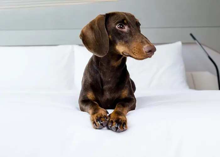 Innside By Melia San Sebastian Orly Hotell