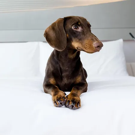 Innside By Melia San Sebastian Orly Hotel 4*